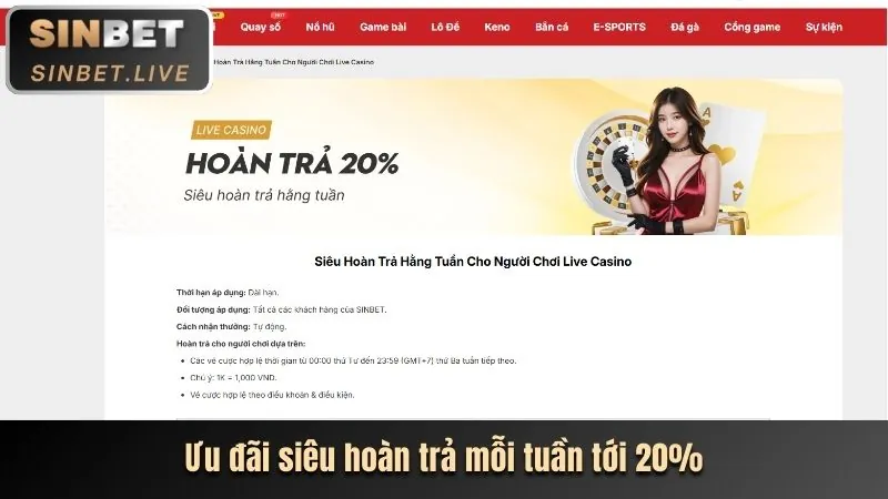 Giao diện cá cược trực tiếp banca 28
